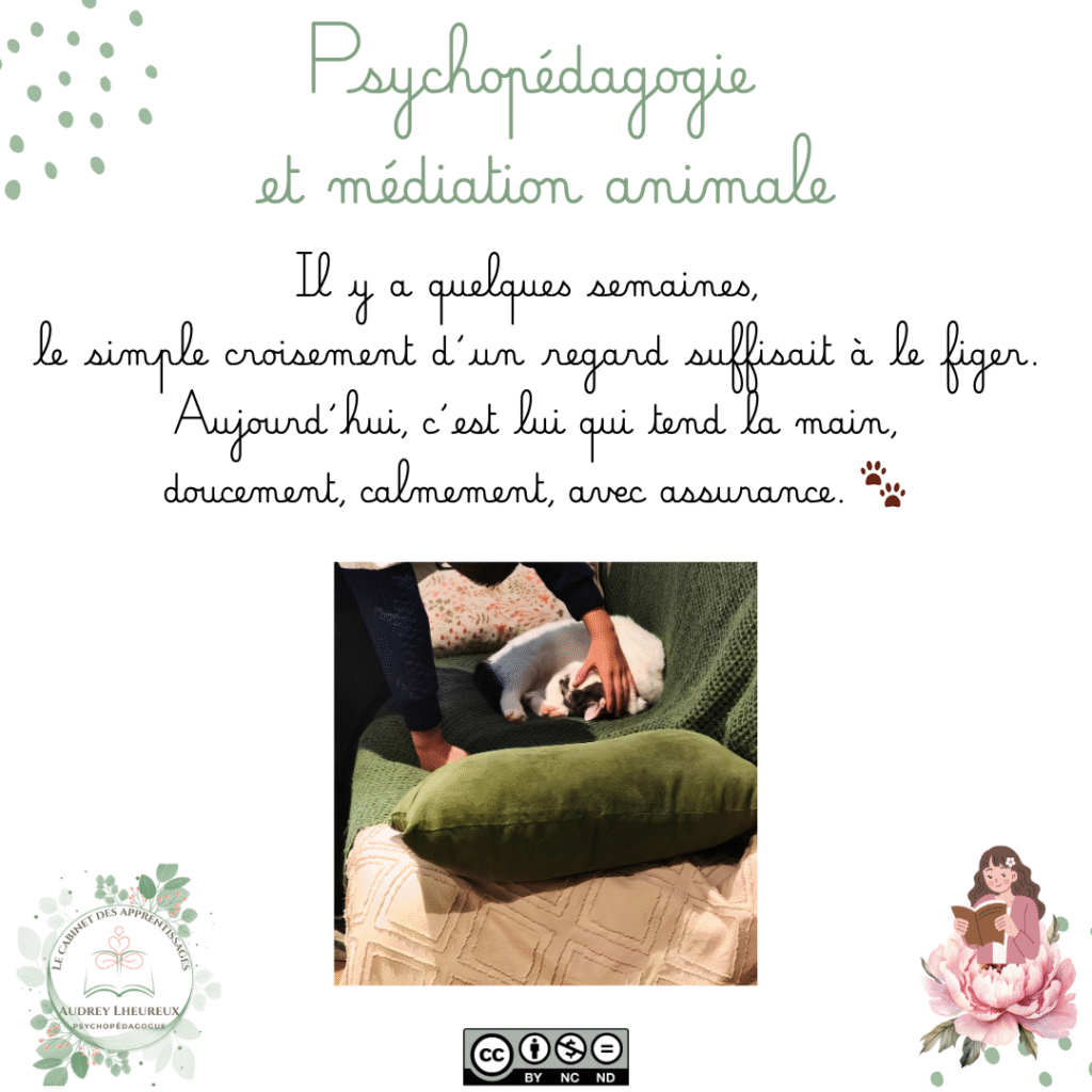 Le cabinet des apprentissages - Psychopédagogie et médiation animale - 3